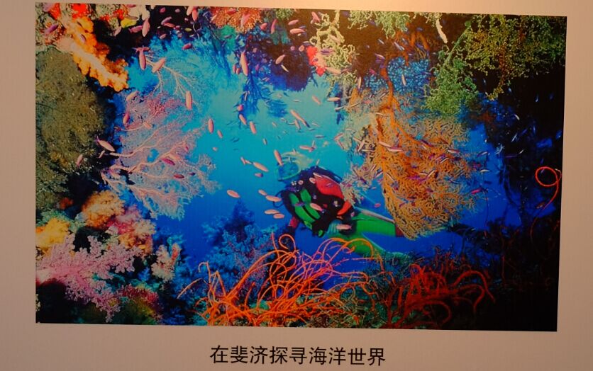 QQ圖片20170618231153.jpg