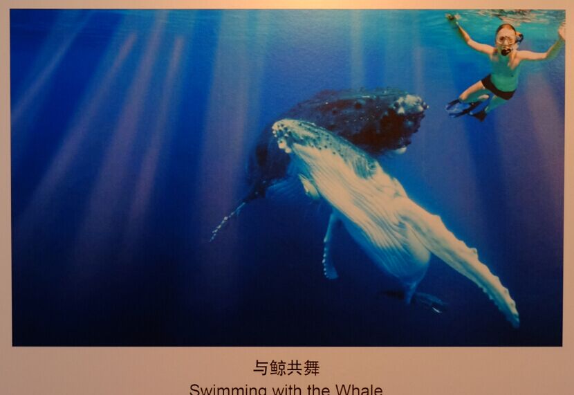 QQ圖片20170618232321.jpg