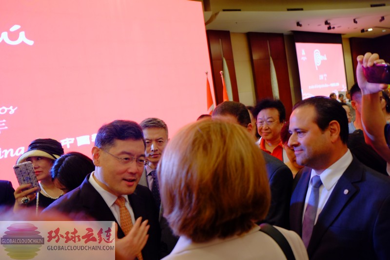 DSCF8452.jpg
