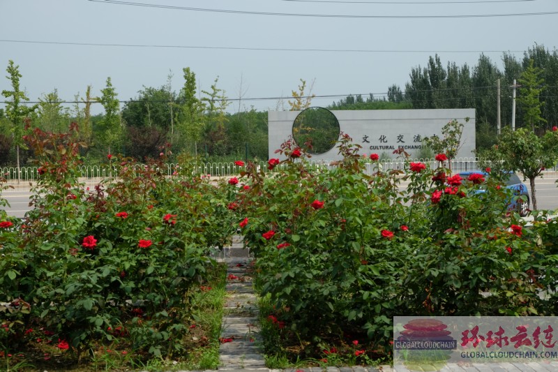 DSCF8968.jpg