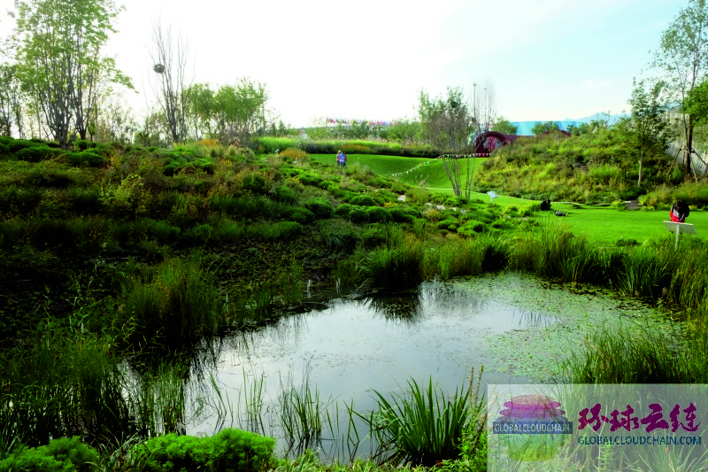DSCF7077.jpg