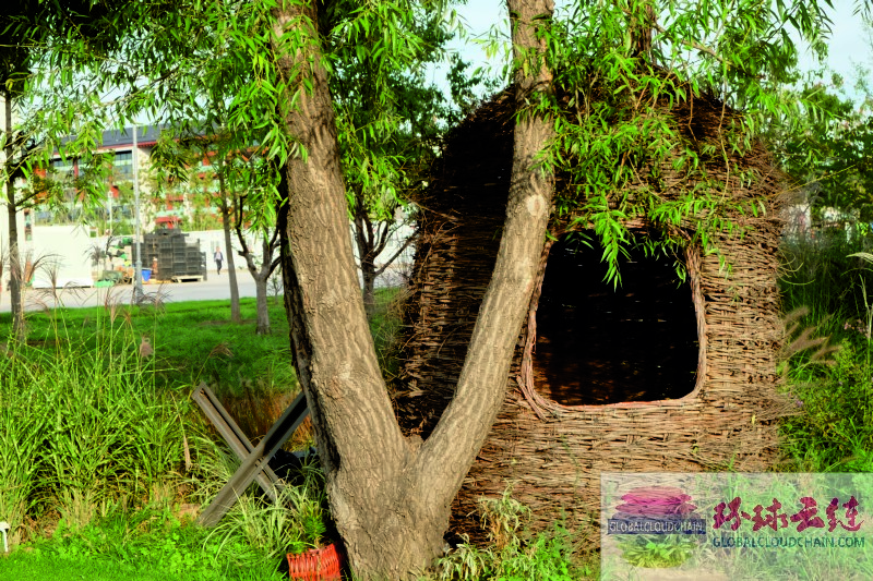 DSCF7087.jpg