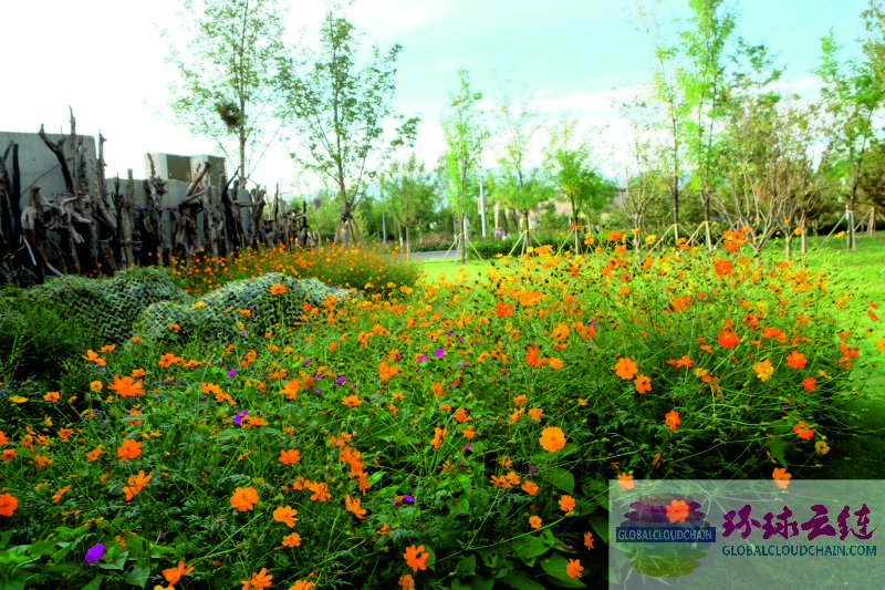 DSCF7089.jpg