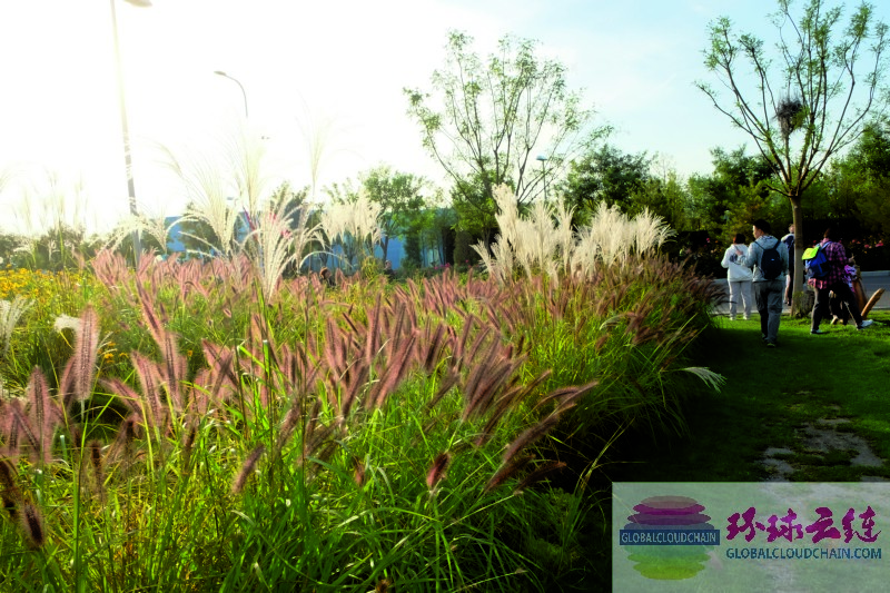 DSCF7161.jpg