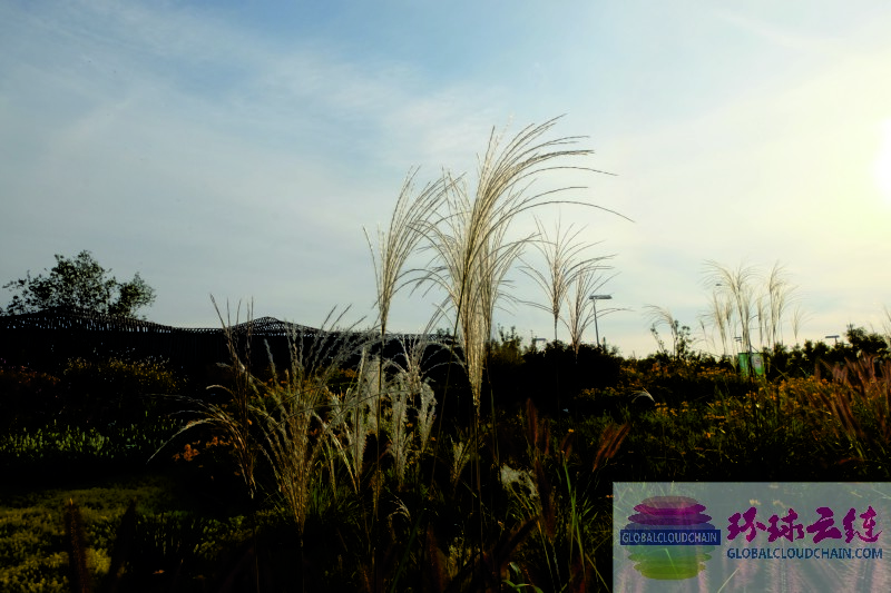 DSCF7162.jpg