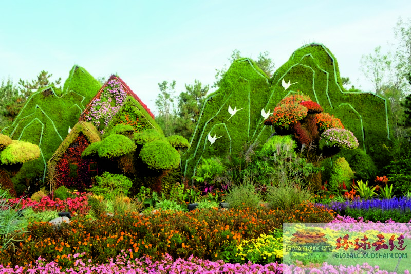 DSCF7171.jpg