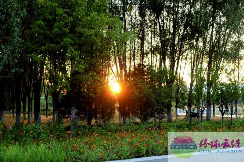 DSCF7346.jpg