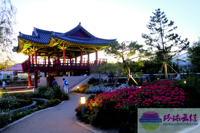 DSCF7370.jpg