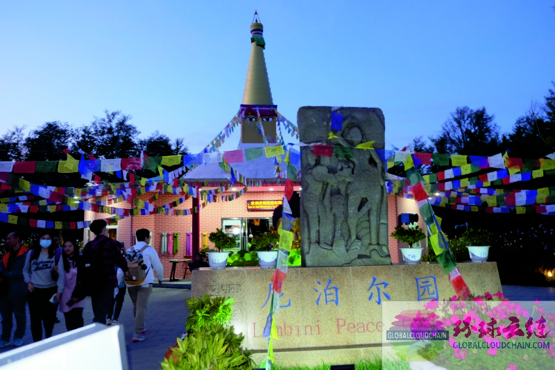 DSCF7376.jpg