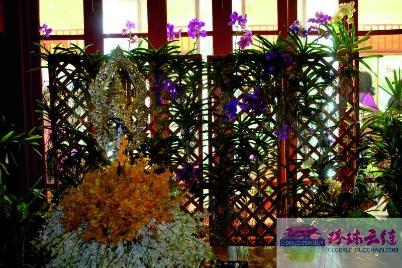 DSCF7408.jpg