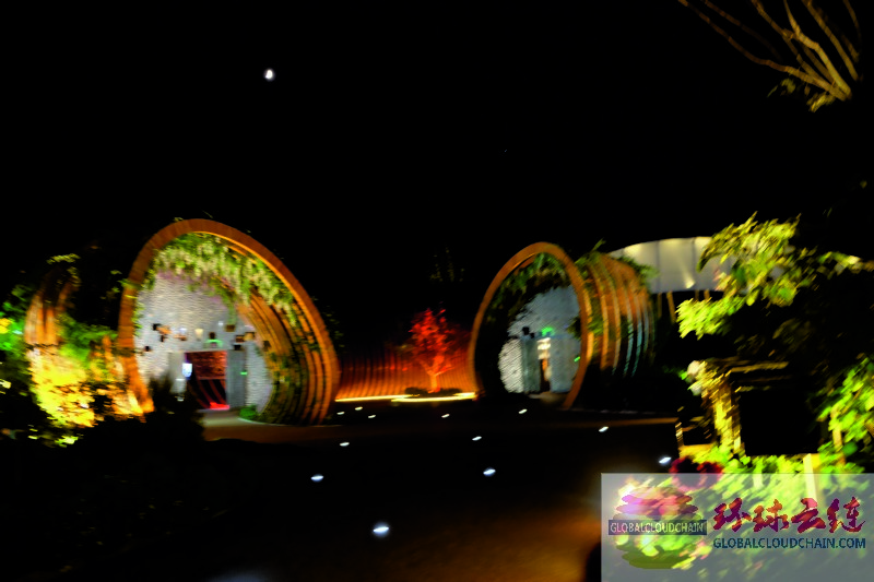 DSCF7464.jpg