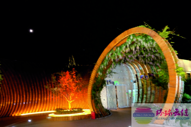 DSCF7469.jpg