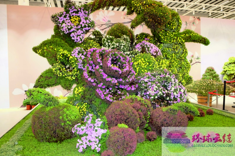 DSCF7706.jpg