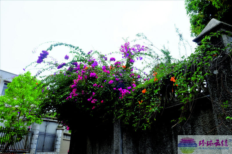 DSCF7744.jpg