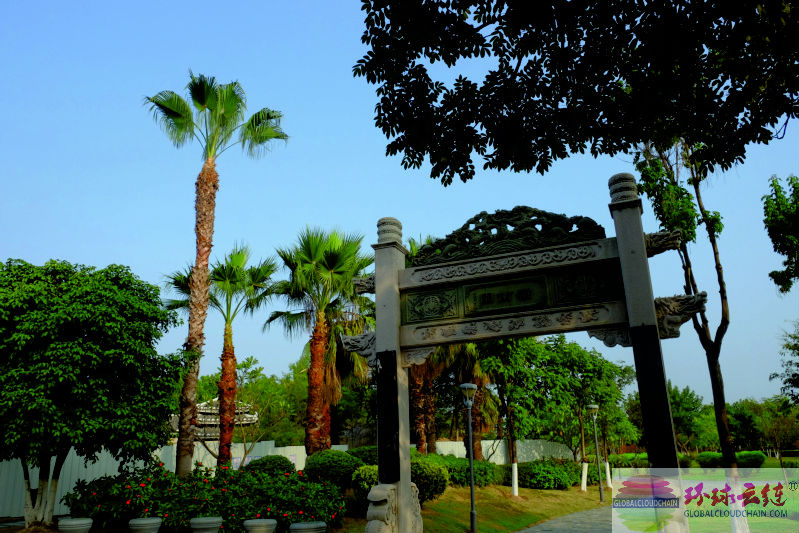 DSCF7246.jpg