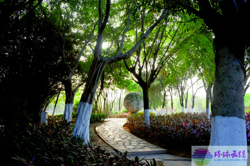 DSCF7348.jpg