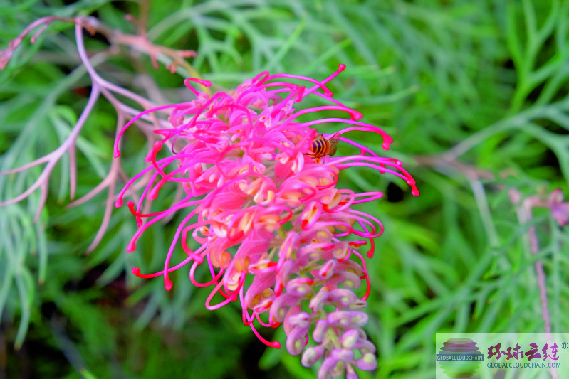 DSCF7374.jpg