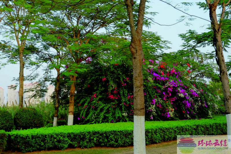 DSCF7375.jpg