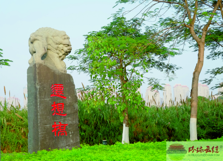 DSCF7376.jpg