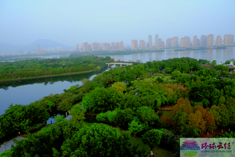 DSCF7472.jpg