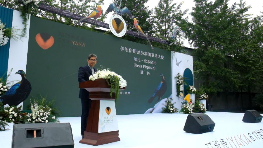 360截圖20230703172924133.jpg