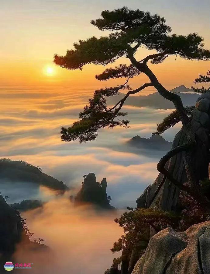 13-微信圖片_202409142327372.jpg