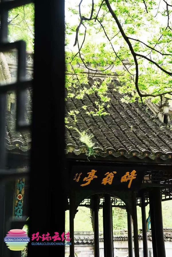 微信圖片_20250414111651.jpg